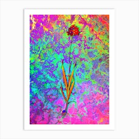 Orange Ixia Botanical in Acid Neon Pink Green and Blue Art Print