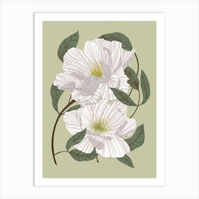 White Peonies Art Print