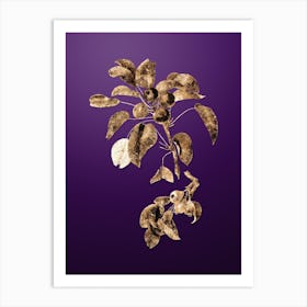 Gold Botanical Musky Pear on Royal Purple Art Print