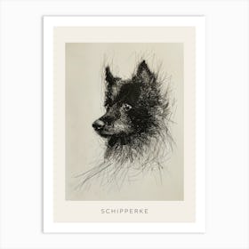 Schipperke Dog Line Sketch 2 Poster Art Print
