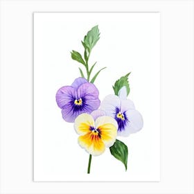 Pansy Watercolour Flower Art Print