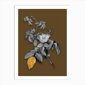 Vintage Apple Rose Black and White Gold Leaf Floral Art on Coffee Brown n.0709 Art Print