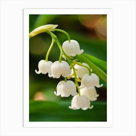 Lily Of The Valley Art 1 Art Print