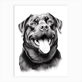 Rottweiler Dog, Line Drawing 4 Art Print