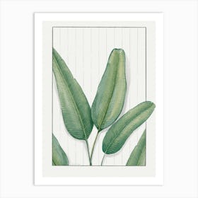 Watercolor Banana Leaf Art Print