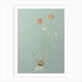 Vintage Allium Globosum Botanical Art on Mint Green n.0117 Art Print