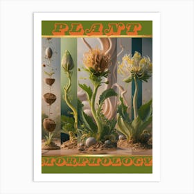 Plant Morphology  Art Print