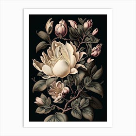 Magnolia 3 Floral Botanical Vintage Poster Flower Art Print