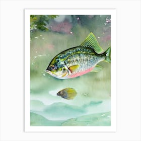 Yellowtail Snapper Storybook Watercolour Art Print