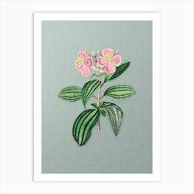 Vintage Starry Osbeckia Flower Botanical Art on Mint Green Art Print