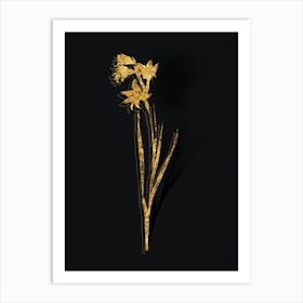 Vintage Painted Lady Botanical in Gold on Black n.0152 Art Print
