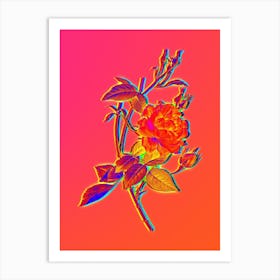 Neon Blood Red Bengal Rose Botanical in Hot Pink and Electric Blue n.0444 Art Print