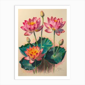 Lotus Art Print