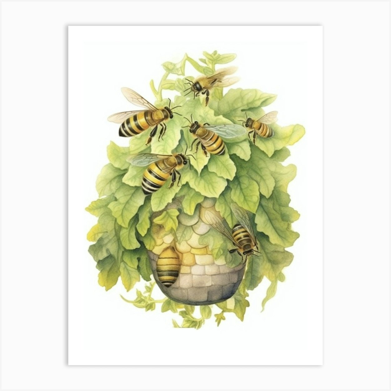 Digger Bee Beehive Watercolour Illustration 4 Art Print by Flora
