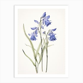 Bluebells Flower Vintage Botanical 0 Art Print
