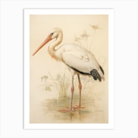 Vintage Bird Drawing Stork 2 Art Print