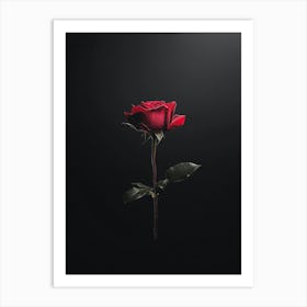 Single Red Rose 8 Art Print