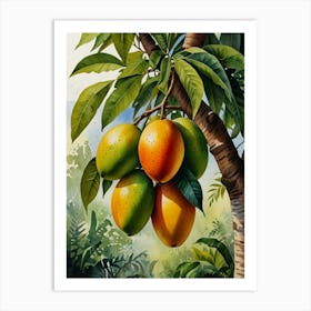 Mangoes On A Tree Art Print