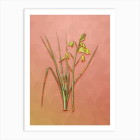 Vintage Slime Lily Botanical Art on Peach Pink n.0478 Art Print