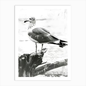 Seagull Art Print