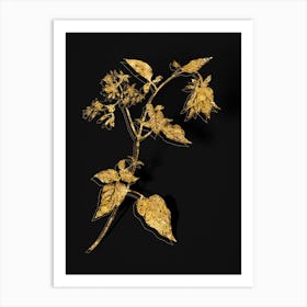 Vintage Bittersweet Botanical in Gold on Black n.0381 Art Print