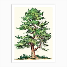 Cypress Tree Storybook Illustration 3 Art Print