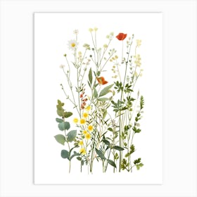 Wildflowers 19 Art Print