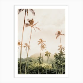 Tropical Sunrise Art Print