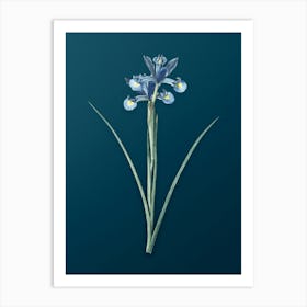 Vintage Spanish Iris Botanical Art on Teal Blue n.0777 Art Print