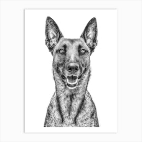 Portrait Of A German Shepherd Art Print