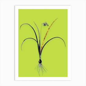 Vintage Brimeura Black and White Gold Leaf Floral Art on Chartreuse n.0323 Art Print