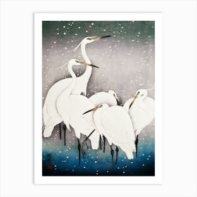 Birds Arts Art Print