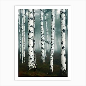 Birch Forest 63 Art Print