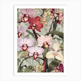 Orchids Art Print