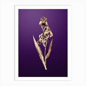 Gold Botanical Dalmatian Iris on Royal Purple n.0251 Art Print