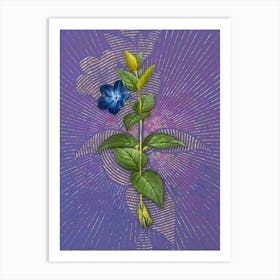 Vintage Greater Periwinkle Flower Botanical Illustration on Veri Peri n.0050 Art Print