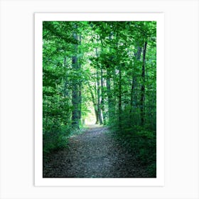 Path In The Woods Art Print