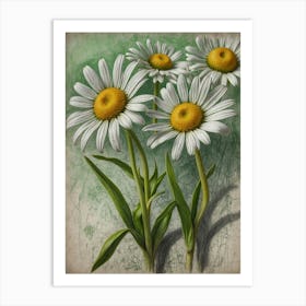 Daisies 1 Art Print