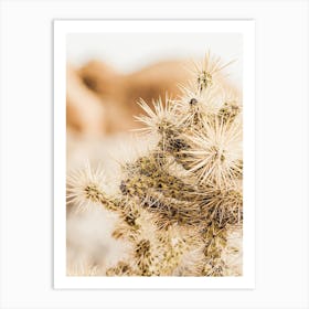 Cholla Cactus Scenery Art Print