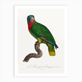 The Red Necked Amazon From Natural History Of Parrots, Francois Levaillant Art Print
