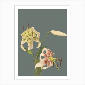 Lily Of The Valley 46 Art Print