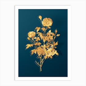 Vintage Burgundy Cabbage Rose Botanical in Gold on Teal Blue Art Print