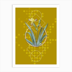 Vintage Hungarian Iris Botanical with Geometric Line Motif and Dot Pattern n.0239 Art Print