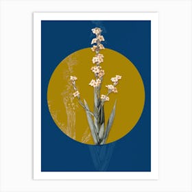 Vintage Botanical Pale Yellow Eyed Grass on Circle Yellow on Blue n.0118 Art Print