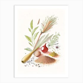 Mace Spices And Herbs Pencil Illustration 4 Art Print