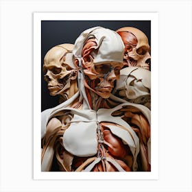 Anatomy Of The Human Body Art Print