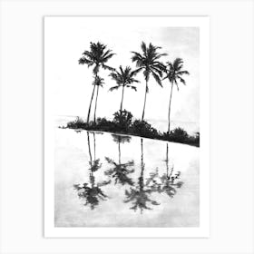 Palm Tree Reflections Black Art Print