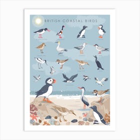 British Coastal Birds Art Print