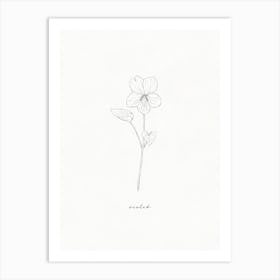 Violet Line Drawing Art Print