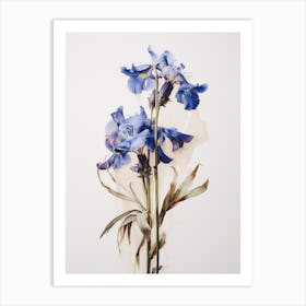 Pressed Flower Botanical Art Lobelia 1 Art Print